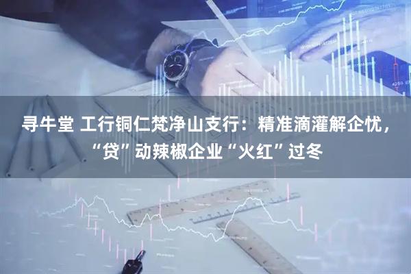 寻牛堂 工行铜仁梵净山支行：精准滴灌解企忧，“贷”动辣椒企业“火红”过冬